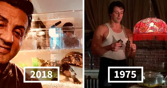 The Pair Of Turtles That Featured In 'Rocky' Are Still Alive And Kicking And Here Is Stallone With Them 45 Years After
