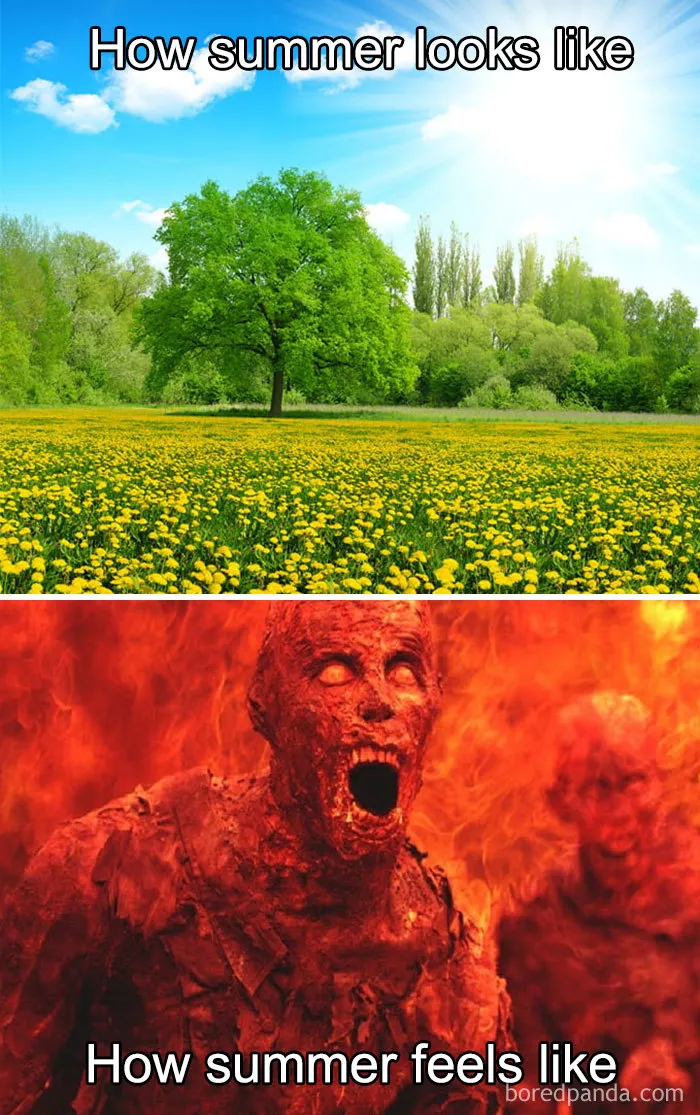 30 Reactions Europeans Had To The Record-Breaking Heatwave