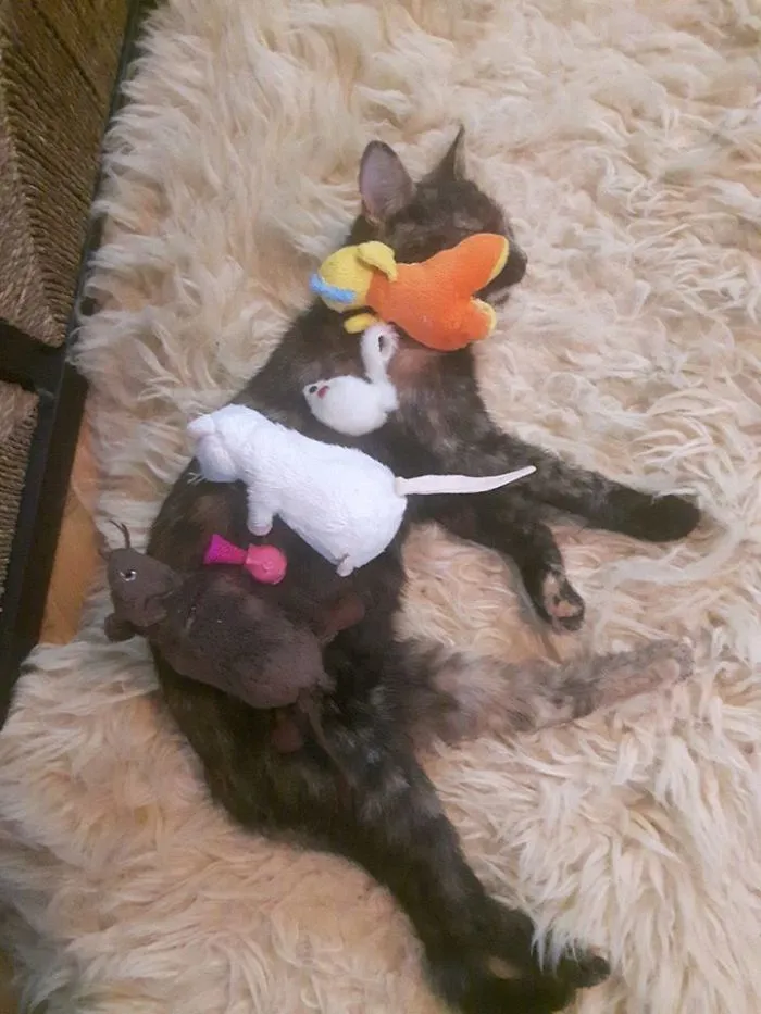 So Tired...