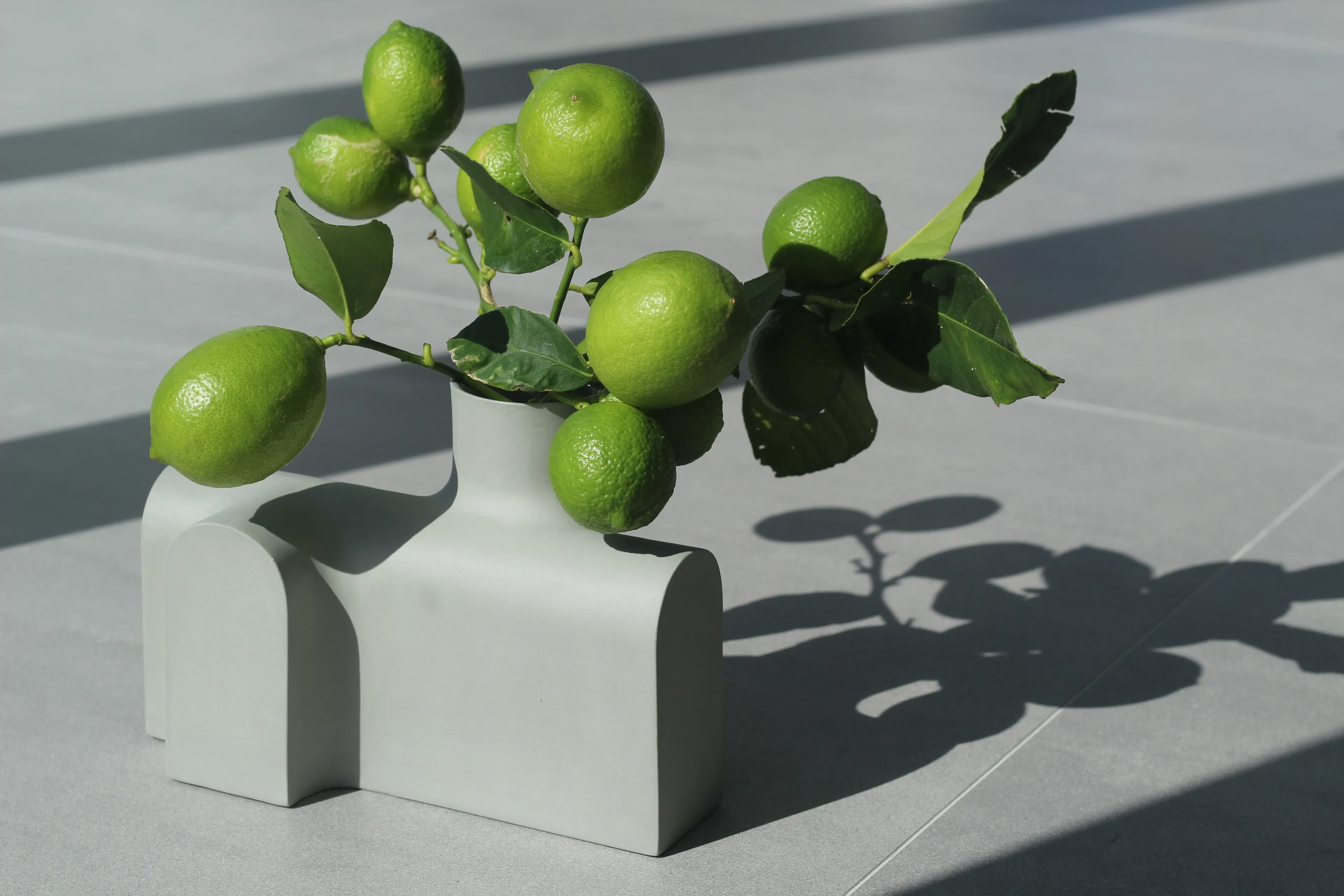 Edgewood Made Is Announcing Their New Series Of Vases Titled: Vase Section.