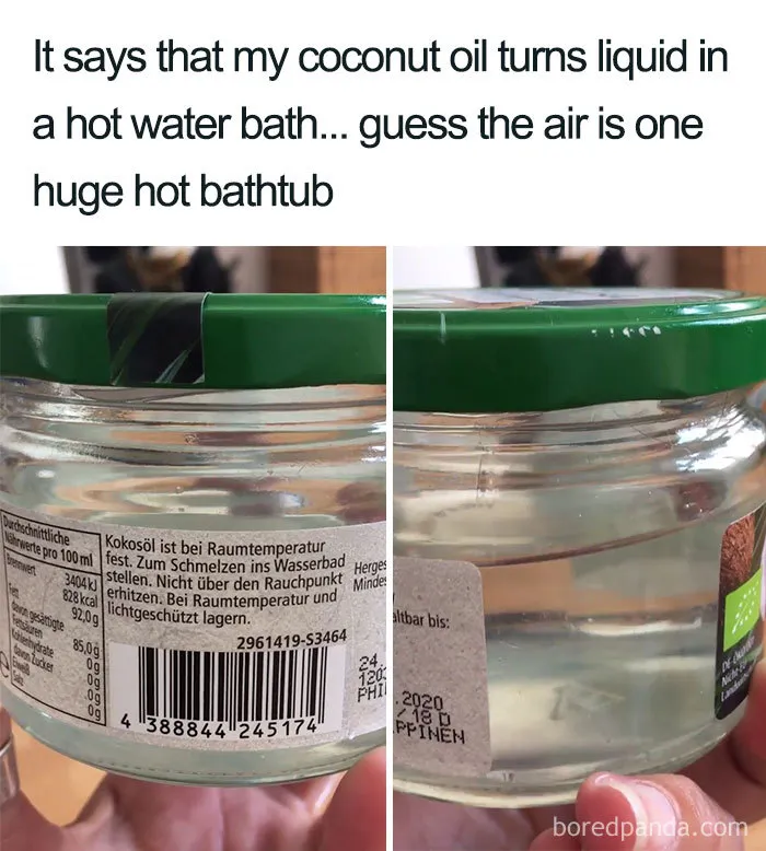 30 Reactions Europeans Had To The Record-Breaking Heatwave