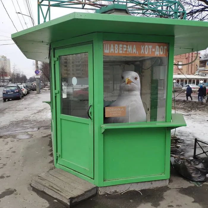 41 Stunning Photo Manipulations Of Fantastic Creatures Taking Over St. Petersburg By Russian Artist