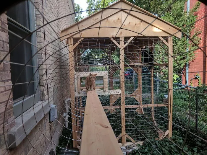 Cat Patios, Known As Catios, Are The Latest Way To Spoil Your Beloved Kitty (30 Pics)