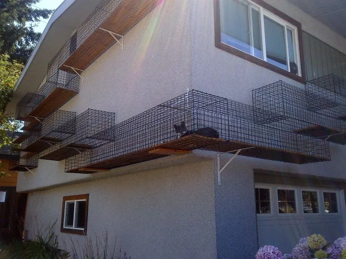 Cat Patios, Known As Catios, Are The Latest Way To Spoil Your Beloved Kitty (30 Pics)