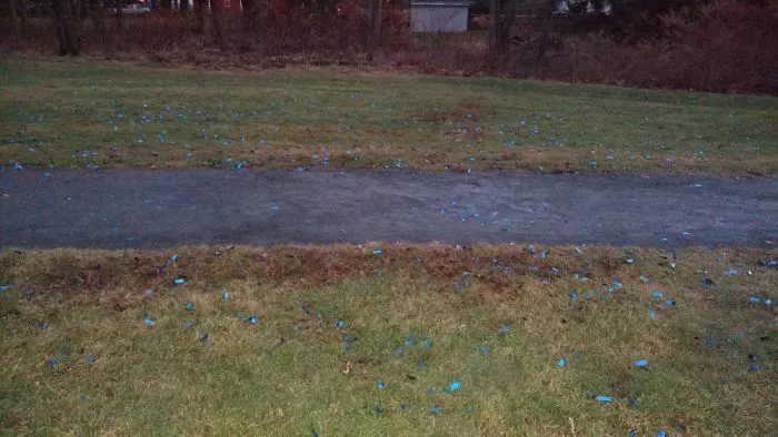 Confeti de plástico dejado en un parque público