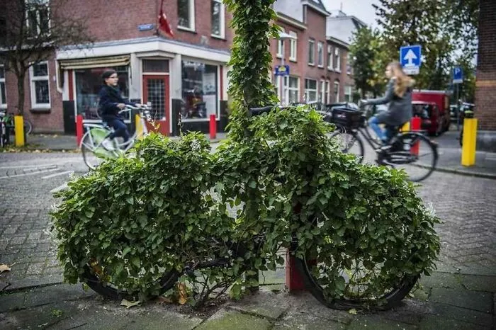 Bicicleta abandonada devorada por la hiedra