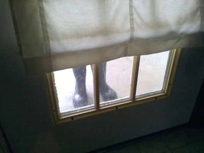 Dejé las botas en la puerta trasera, me olvidé y cuando fui a salir otra vez me di un susto