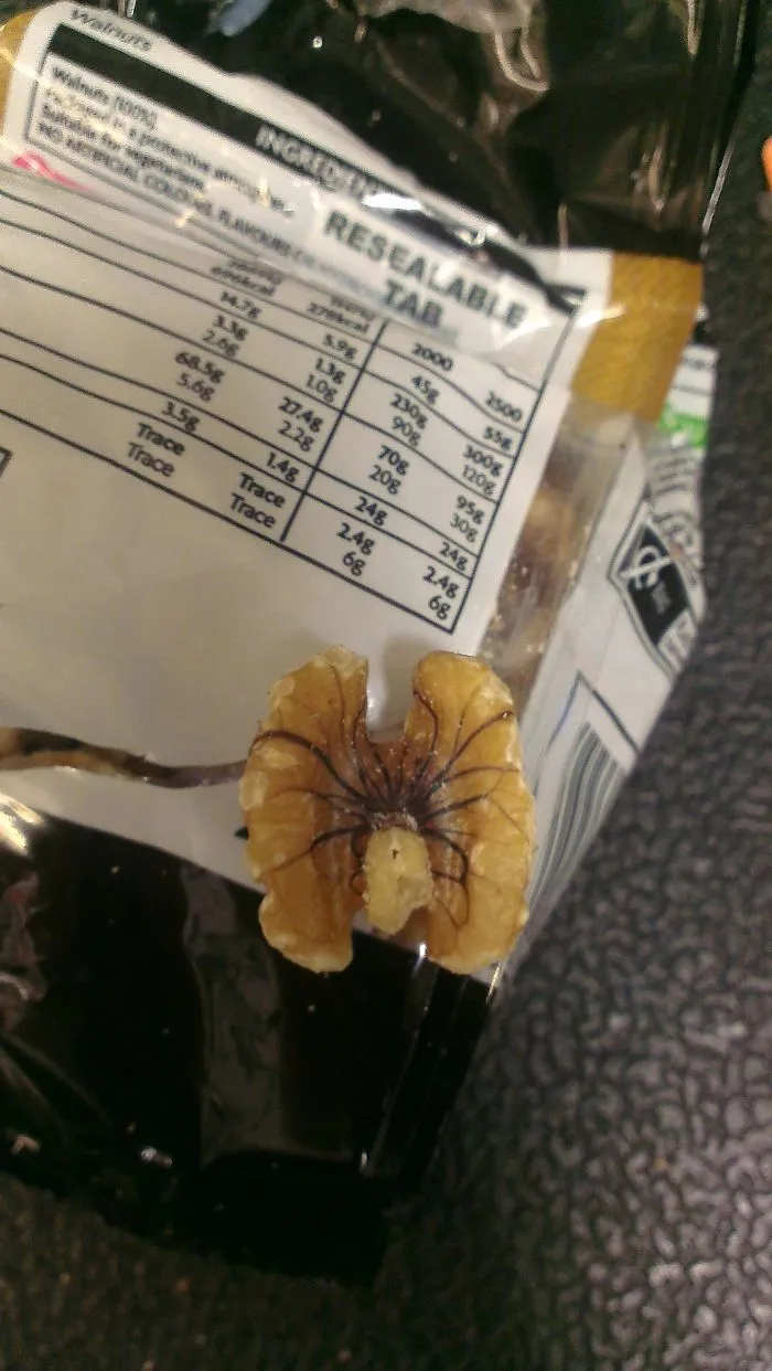 Estaba comiendo nueces cuando se me ocurrió mirar esta y...
