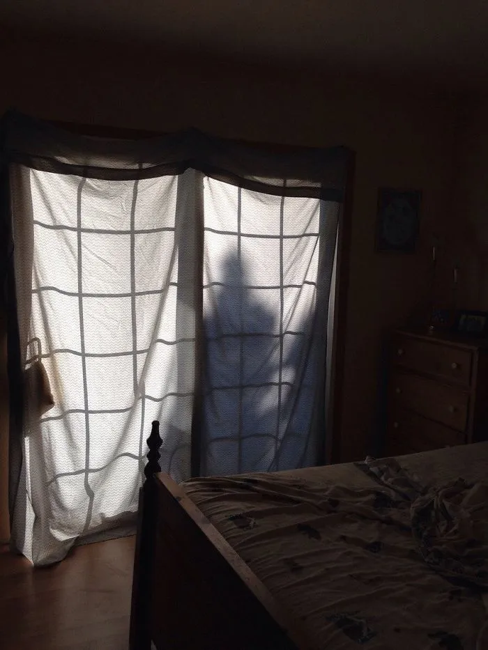 The Shadow From This Tree Scared Me