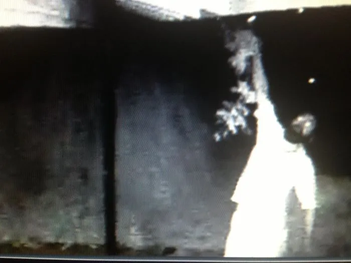 Son Woke Us Up Around 3 AM To Tell Us Some Guy Was On Our Porch With A Stick