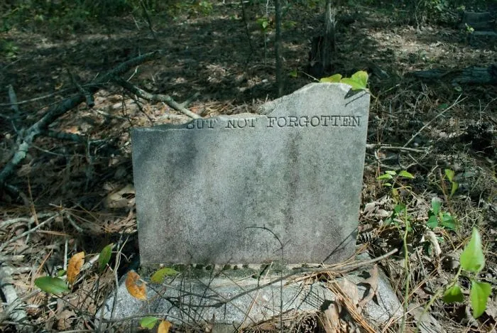 Cementerio en medio del bosque