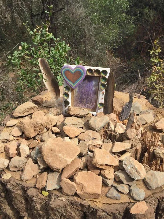 En recuerdo de un árbol caído