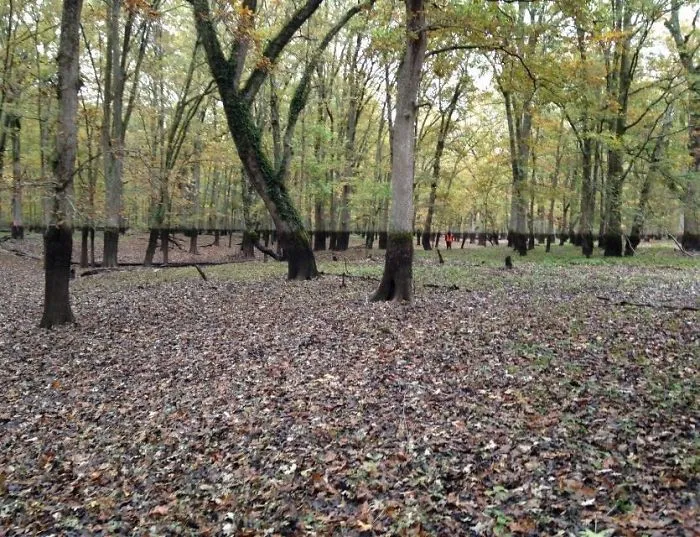 Standing In A Huge Pond That Sinks Every Dry Season