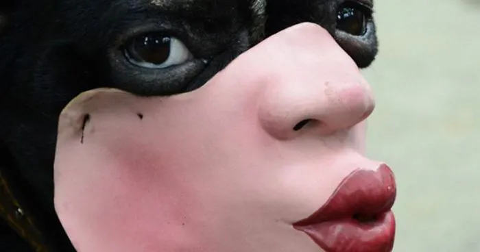 Amazon Is Selling Dog Muzzles That Look Like Human Faces And They’re Too Bizarre
