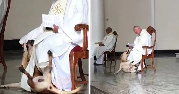 Priest Has An Adorable Reaction To A Dog Who Crashed His Church Service