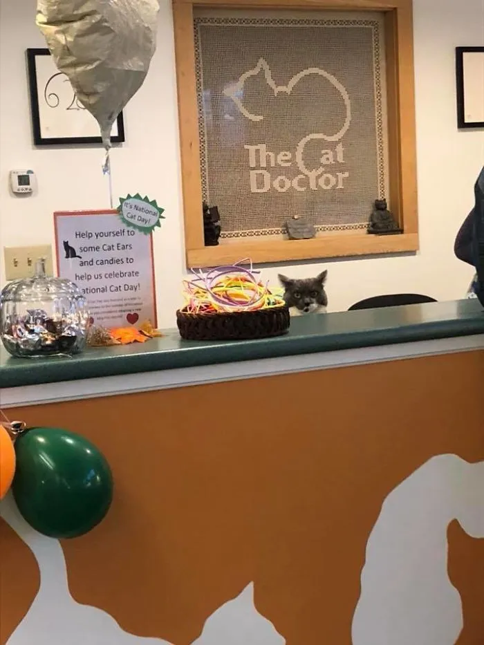 El doctor le atenderá ahora