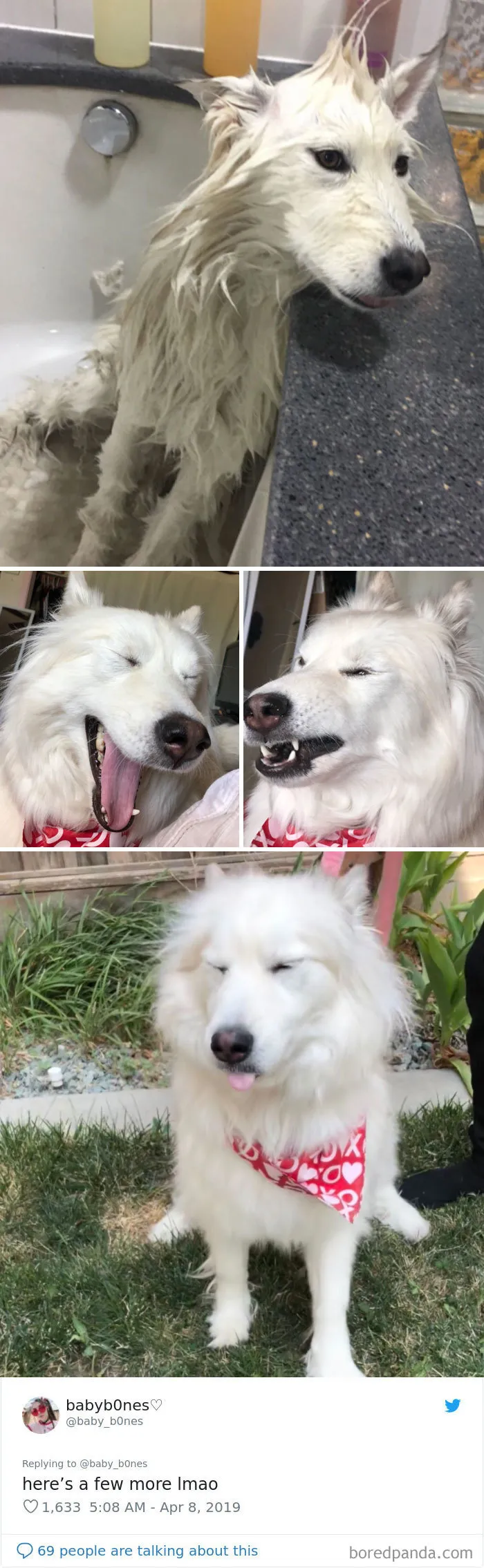 People Are Sharing The Most Unflattering Pics Of Their Pets And It's Hilarious (30 Pics)