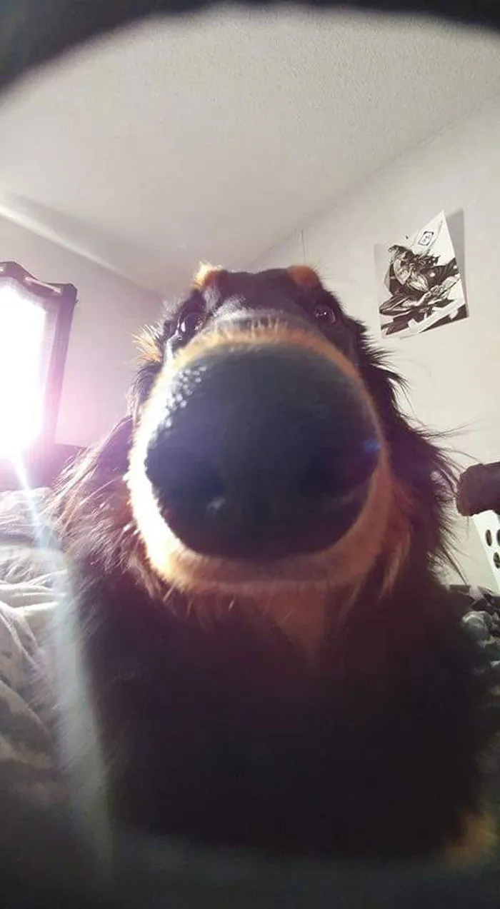 This Is Pixels Best Angle 😂😂
