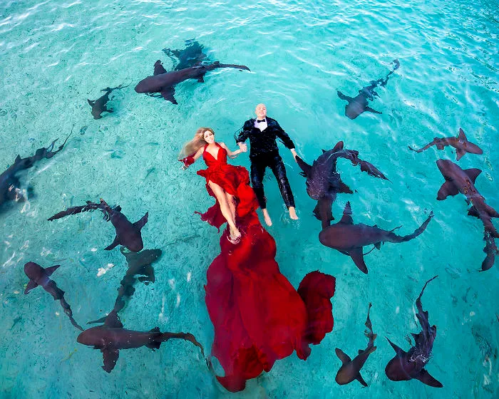 I Brought An Adventurous Couple To Exuma To Swim With Sharks, Pigs, And Stingrays