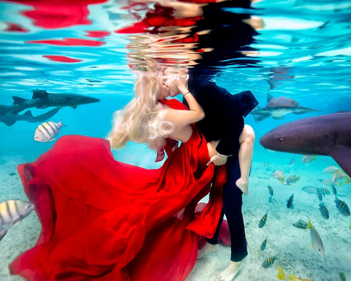 I Brought An Adventurous Couple To Exuma To Swim With Sharks, Pigs, And Stingrays