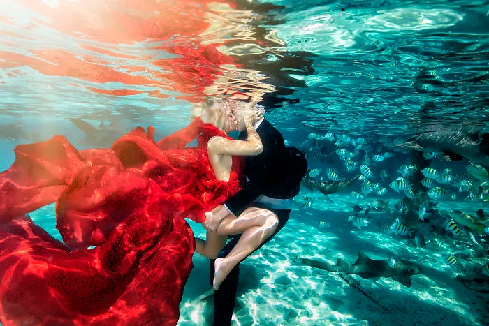 I Brought An Adventurous Couple To Exuma To Swim With Sharks, Pigs, And Stingrays