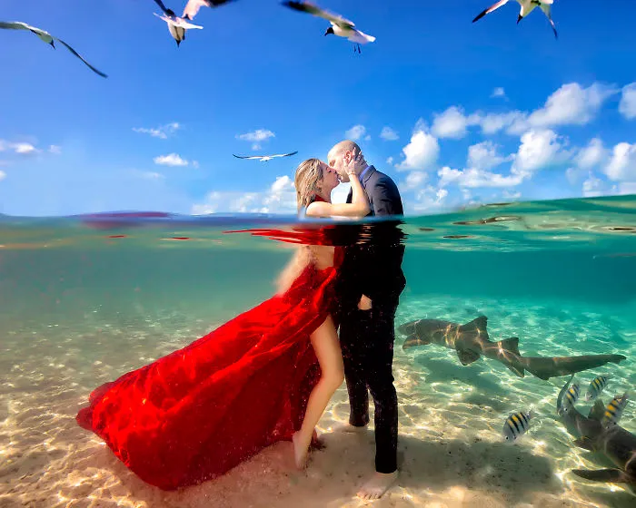 I Brought An Adventurous Couple To Exuma To Swim With Sharks, Pigs, And Stingrays
