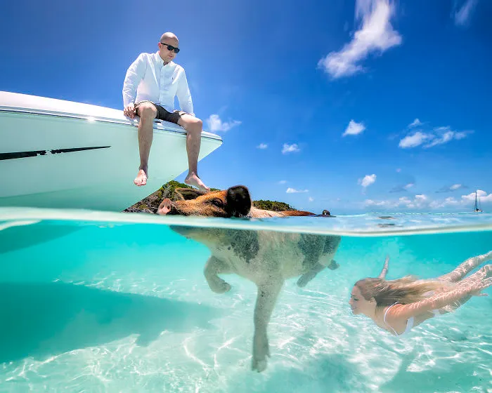 I Brought An Adventurous Couple To Exuma To Swim With Sharks, Pigs, And Stingrays