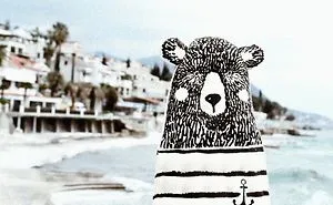Exploring The Beauty Of Montenegro With The Bear