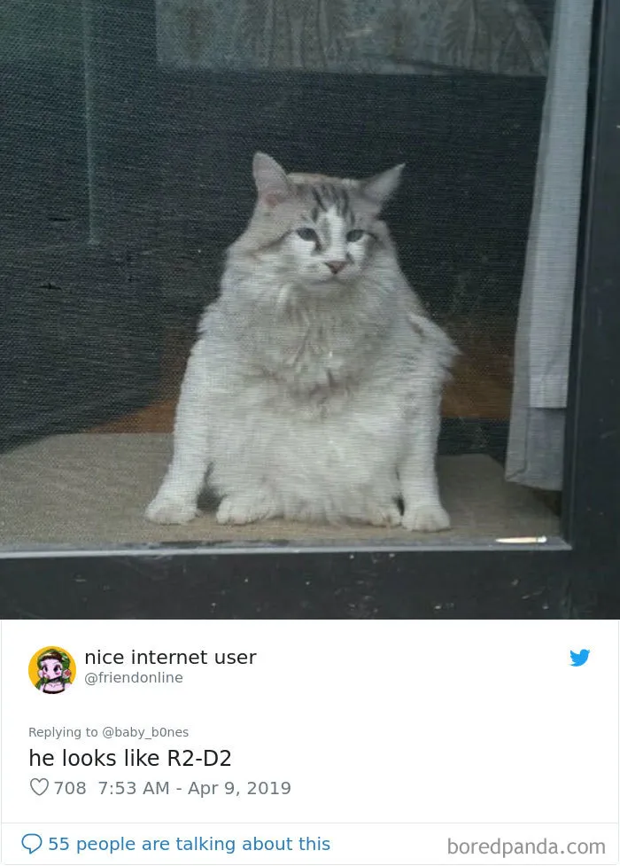 La gente comparte las fotos menos favorecedoras de sus mascotas, y es divertidísimo (30 imágenes)
