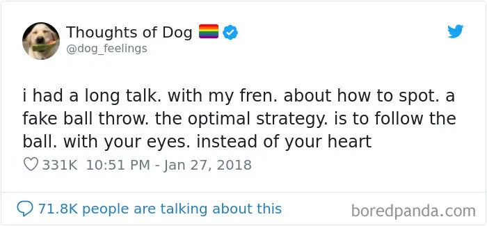 30 Of The Funniest Dog Thoughts That Dog Owners Will Understand Too Well