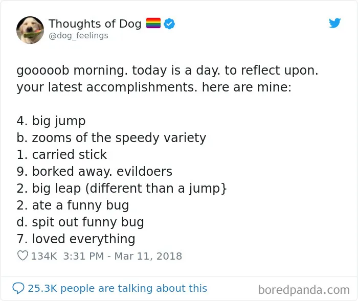 30 Of The Funniest Dog Thoughts That Dog Owners Will Understand Too Well