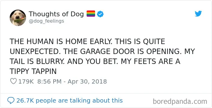 30 Of The Funniest Dog Thoughts That Dog Owners Will Understand Too Well