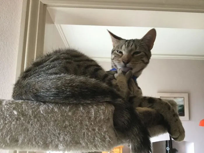 I Said No Photos