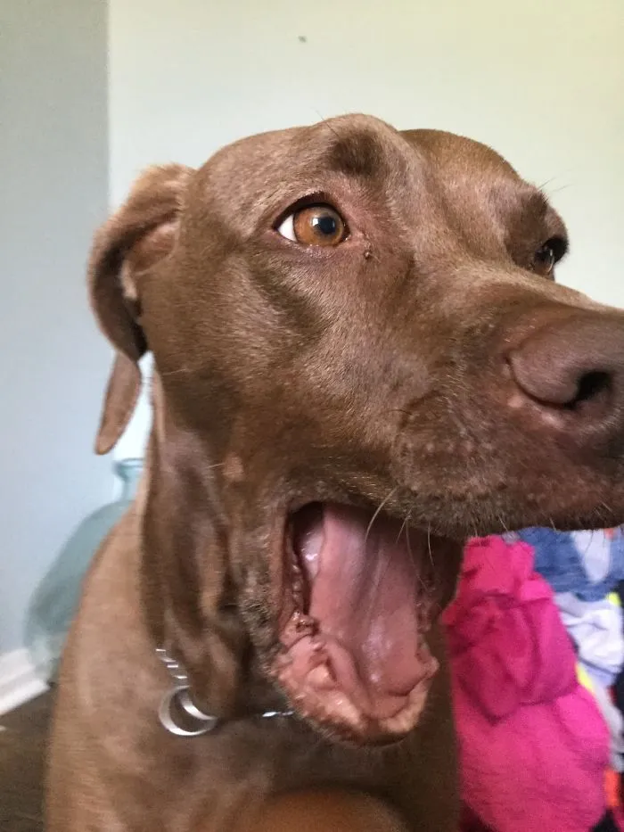 *yawns*