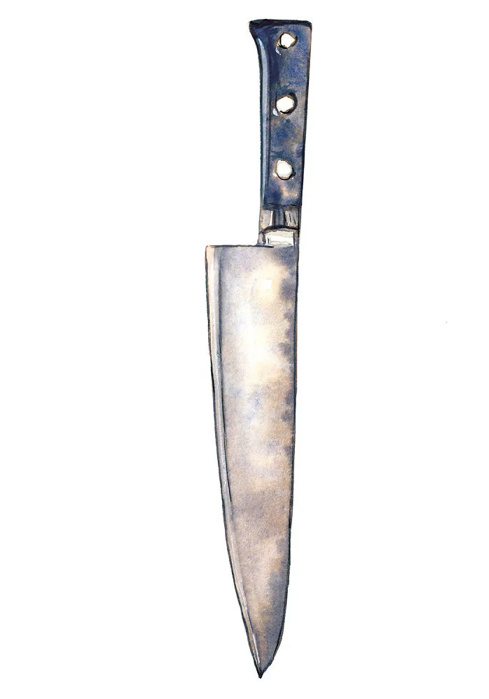 Chef's Knife