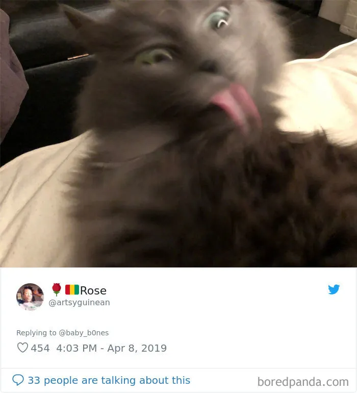 People Are Sharing The Most Unflattering Pics Of Their Pets And It's Hilarious (30 Pics)