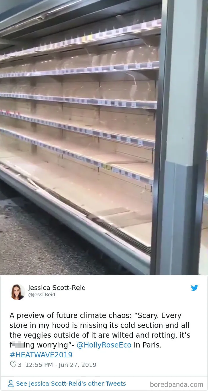 30 Reactions Europeans Had To The Record-Breaking Heatwave