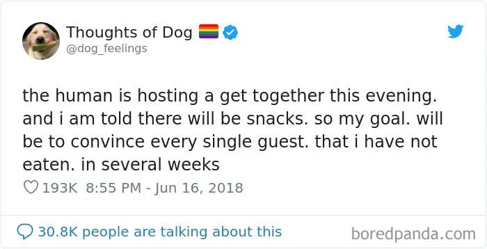 30 Of The Funniest Dog Thoughts That Dog Owners Will Understand Too Well