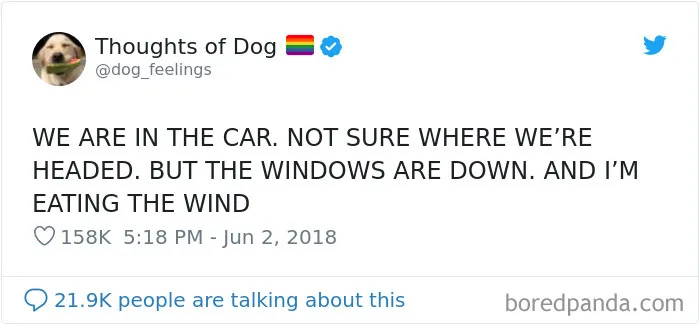 30 Of The Funniest Dog Thoughts That Dog Owners Will Understand Too Well