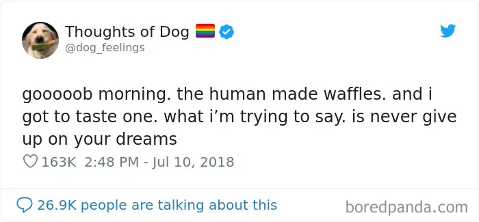 30 Of The Funniest Dog Thoughts That Dog Owners Will Understand Too Well