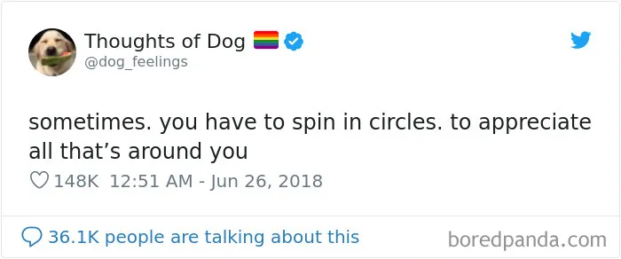 30 Of The Funniest Dog Thoughts That Dog Owners Will Understand Too Well