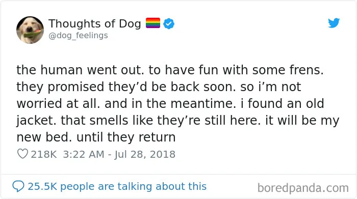 30 Of The Funniest Dog Thoughts That Dog Owners Will Understand Too Well