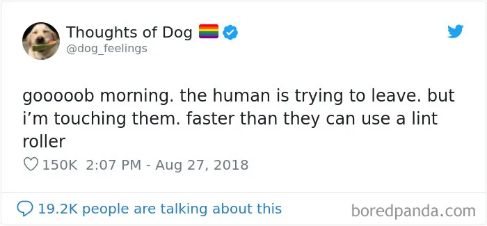 30 Of The Funniest Dog Thoughts That Dog Owners Will Understand Too Well