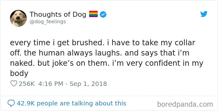 30 Of The Funniest Dog Thoughts That Dog Owners Will Understand Too Well
