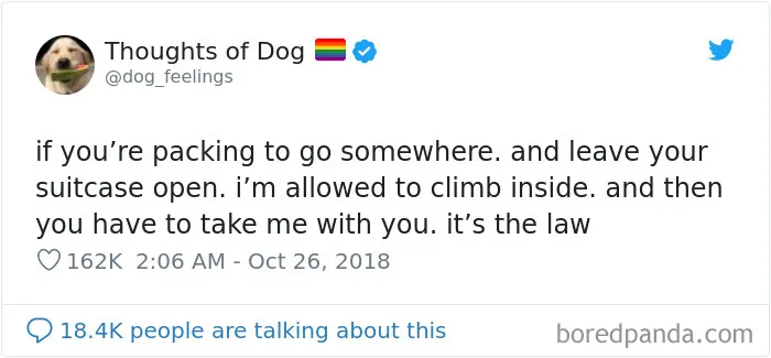 30 Of The Funniest Dog Thoughts That Dog Owners Will Understand Too Well