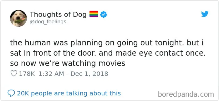 30 Of The Funniest Dog Thoughts That Dog Owners Will Understand Too Well