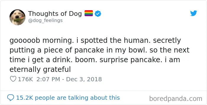 30 Of The Funniest Dog Thoughts That Dog Owners Will Understand Too Well