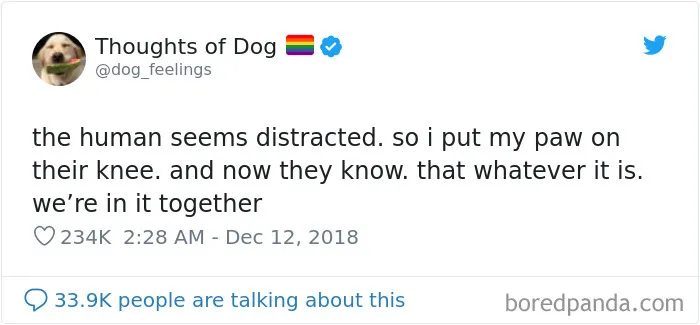 30 Of The Funniest Dog Thoughts That Dog Owners Will Understand Too Well
