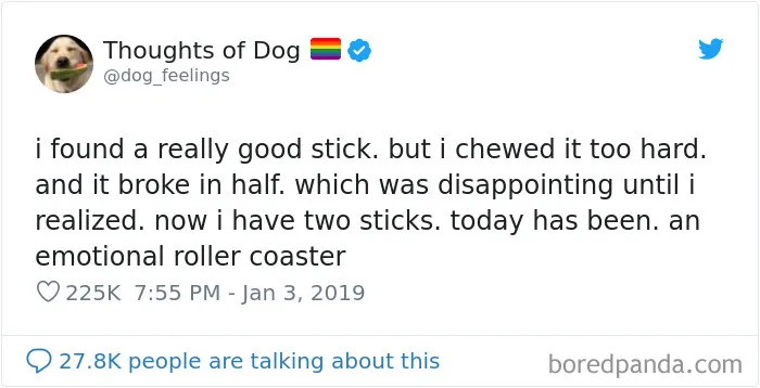 30 Of The Funniest Dog Thoughts That Dog Owners Will Understand Too Well