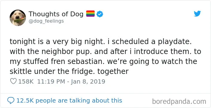 30 Of The Funniest Dog Thoughts That Dog Owners Will Understand Too Well